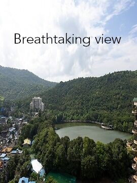 Project Views AV